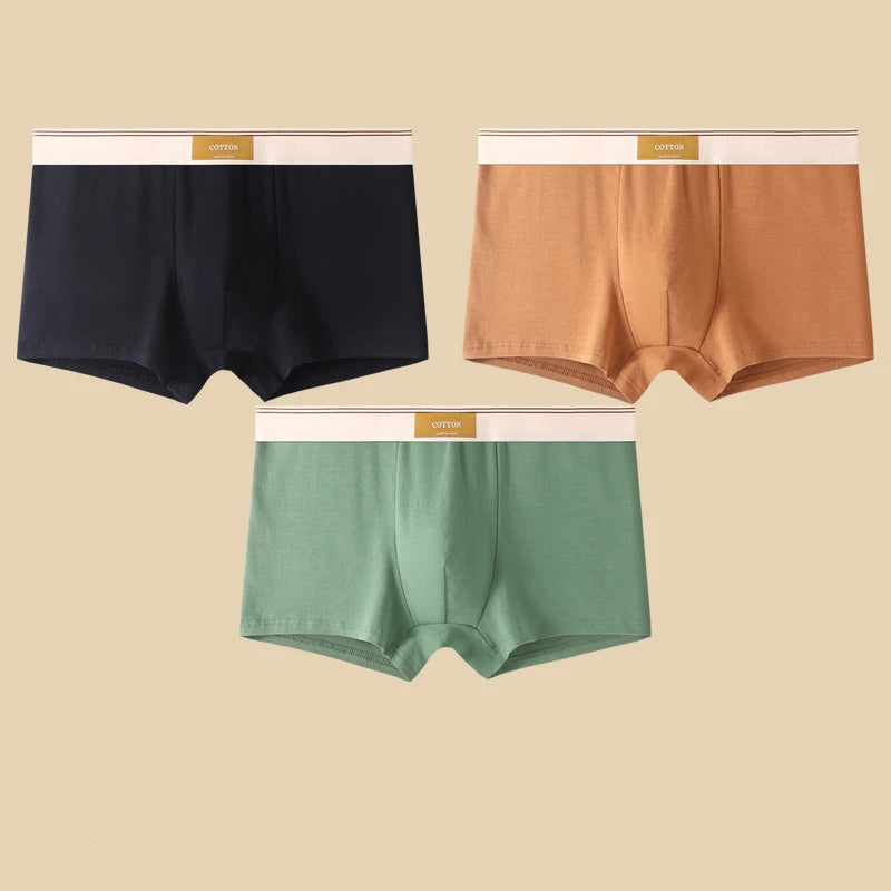 3-Piece Men’s Cotton Boxer Shorts Set