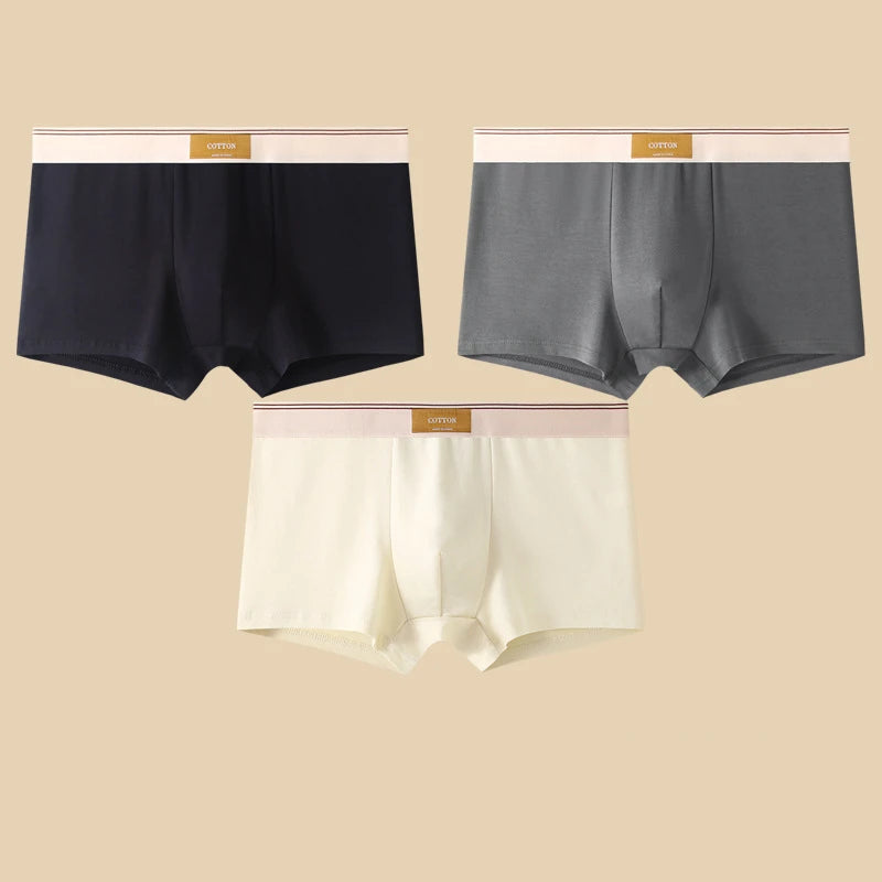 3-Piece Men’s Cotton Boxer Shorts Set