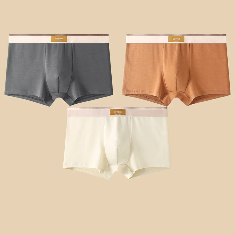 3-Piece Men’s Cotton Boxer Shorts Set