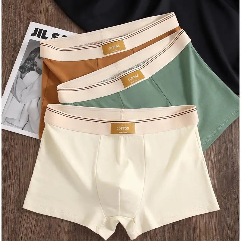 3-Piece Men’s Cotton Boxer Shorts Set