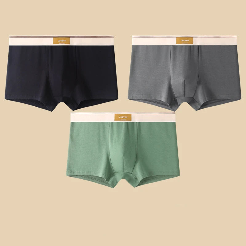 3-Piece Men’s Cotton Boxer Shorts Set