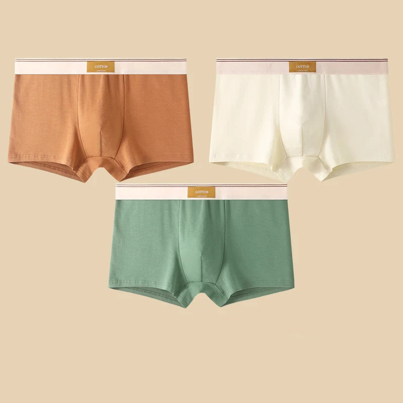 3-Piece Men’s Cotton Boxer Shorts Set