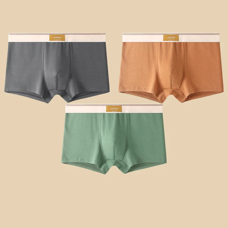 3-Piece Men’s Cotton Boxer Shorts Set