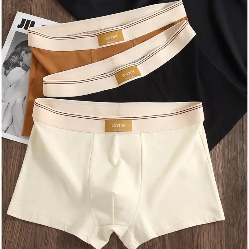 3-Piece Men’s Cotton Boxer Shorts Set