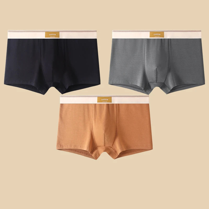 3-Piece Men’s Cotton Boxer Shorts Set