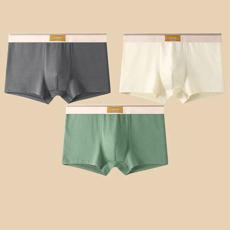 3-Piece Men’s Cotton Boxer Shorts Set